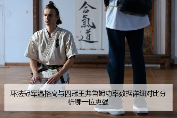 huan-fa-guan-jun-wen-ge-gao-yu-si-guan-wang-fu-lu-mu-gong-lv-shu-ju-xiang-xi-dui-bi-fen-xi-na-yi-wei-geng-qiang-2-252.jpg